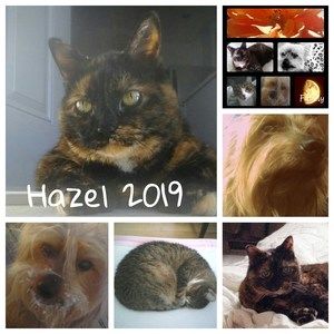 Meet your Posher, Rubyjoan